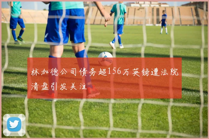 林加德公司债务超156万英镑遭法院清盘引发关注