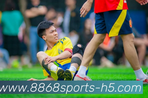 8868体育服务体系